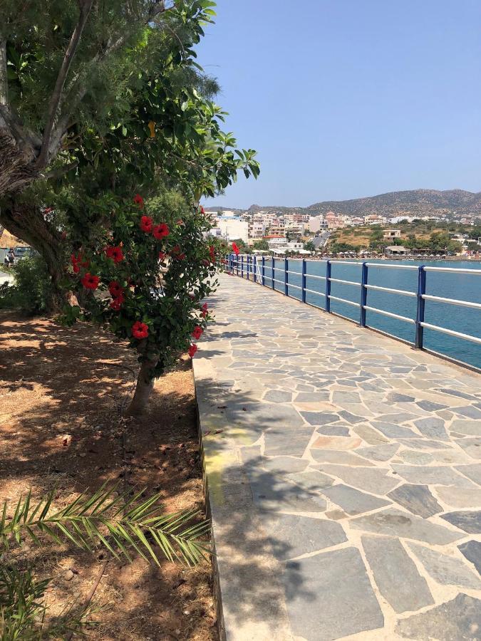 Big Blue New Lägenhet Agios Nikolaos Exteriör bild